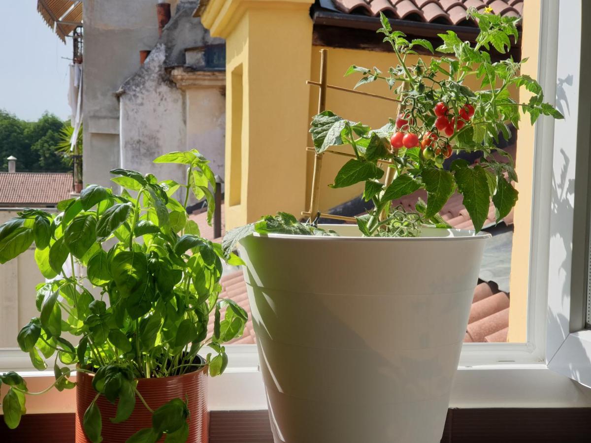Romantica Mansarda Nel Cuore Di Torino Bagian luar foto