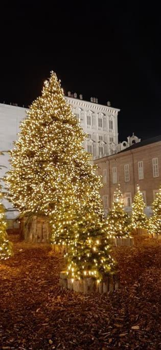 Romantica Mansarda Nel Cuore Di Torino Bagian luar foto